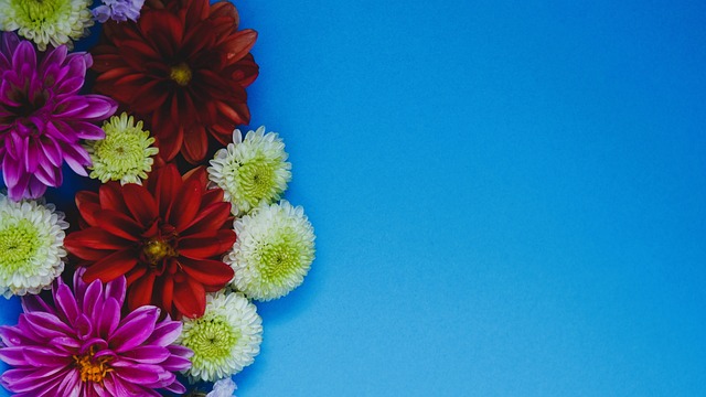 状态火热，孙兴慜一射一传助洛杉矶客场大胜奥斯汀